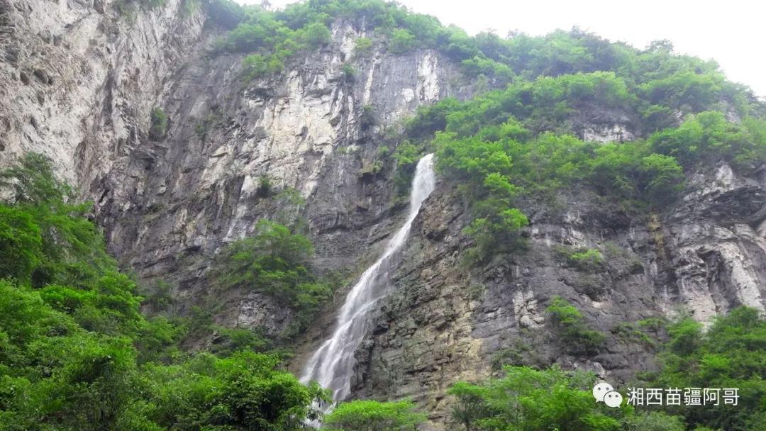 小猫钓鱼游戏龙王版有船